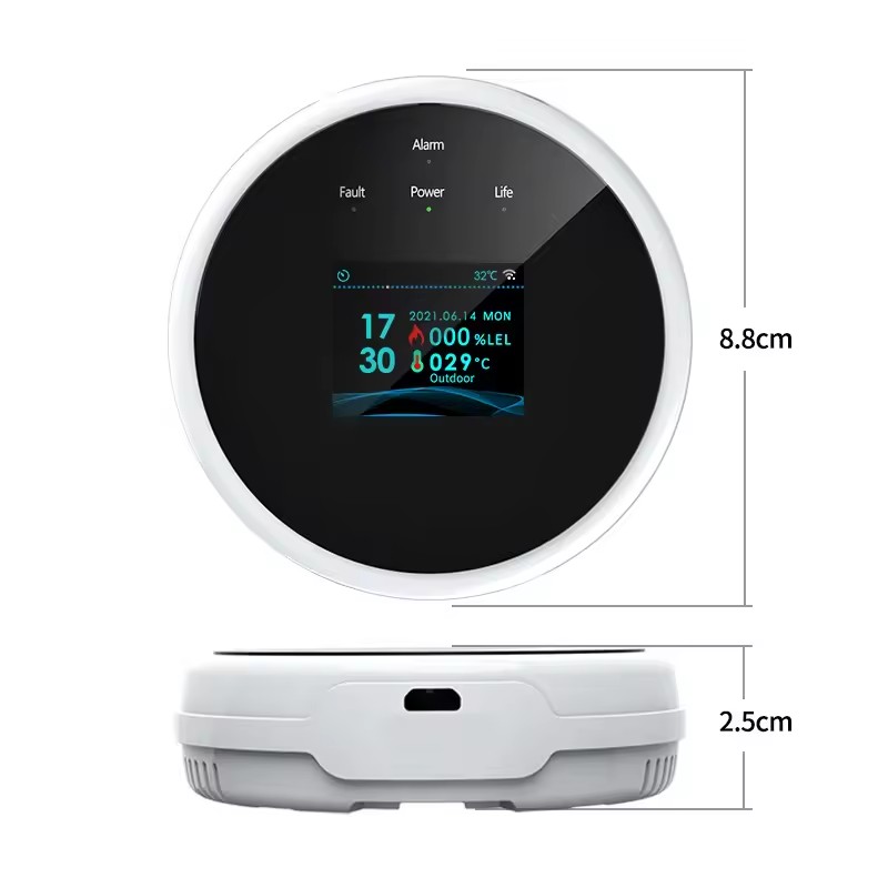 Sensor de Vazamento de Gás Int - Home Security Uk avaliação e preço